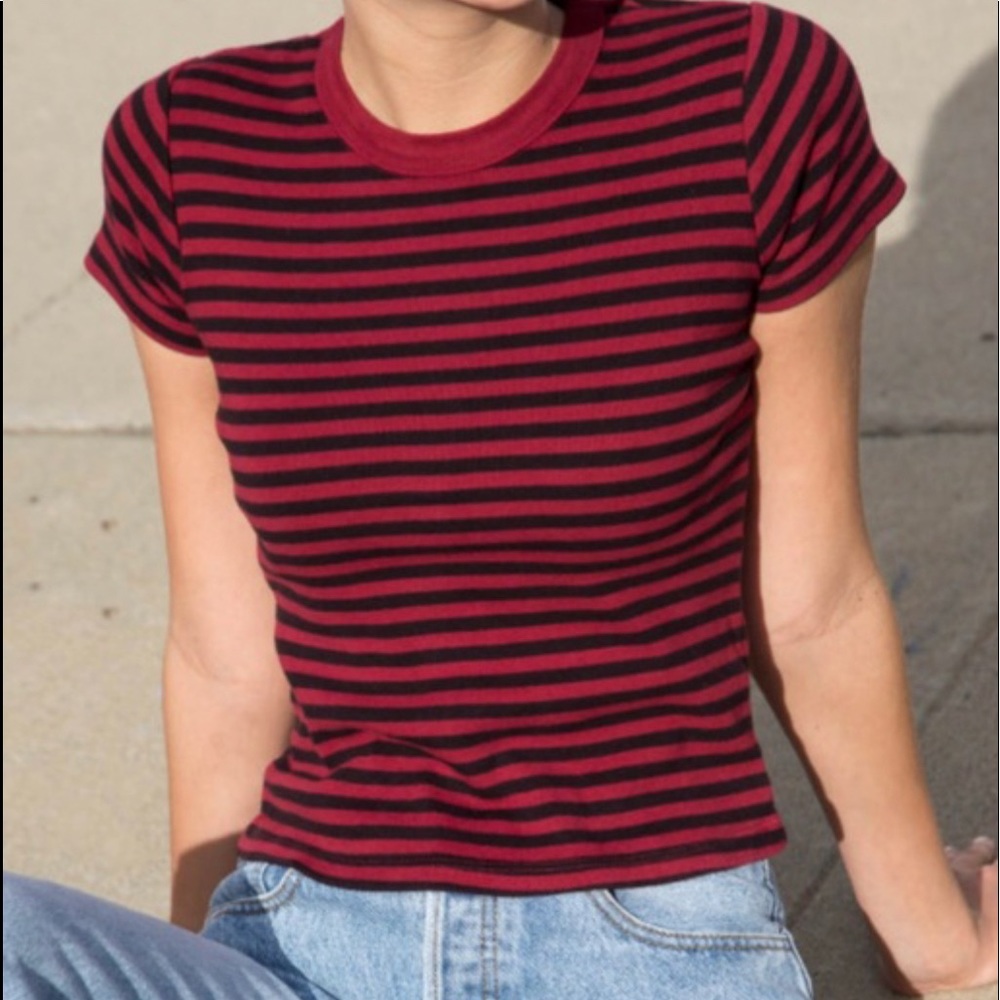 Never Worn!! Brandy Melville Hailie Top!!